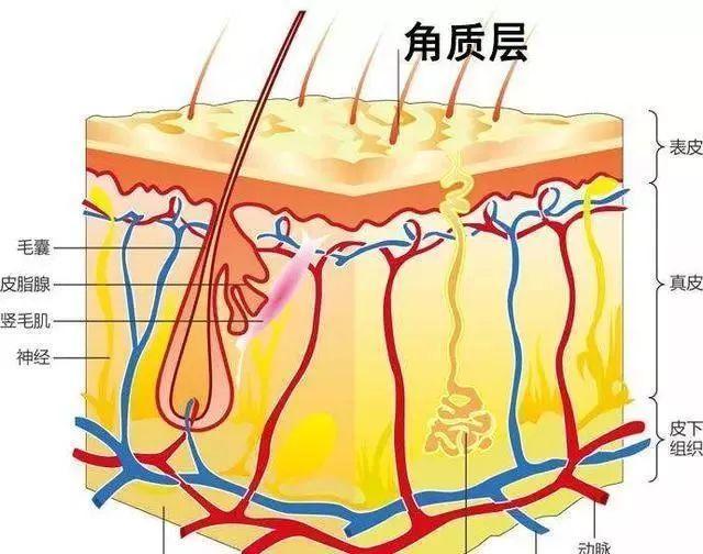 朝阳门诊医院电话特需门诊号码_朝阳医院特需门诊电话_朝阳医院特需门诊预约电话