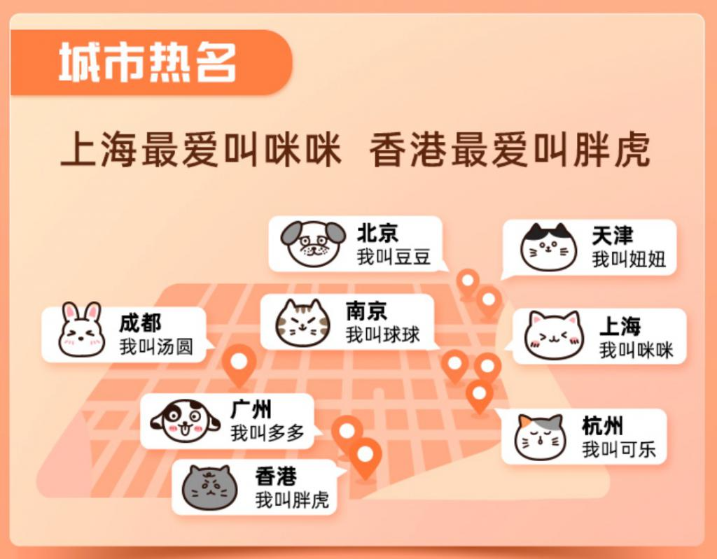 怎样根据名字查身份证-如何根据名字查身份证？一文告诉你正确方法