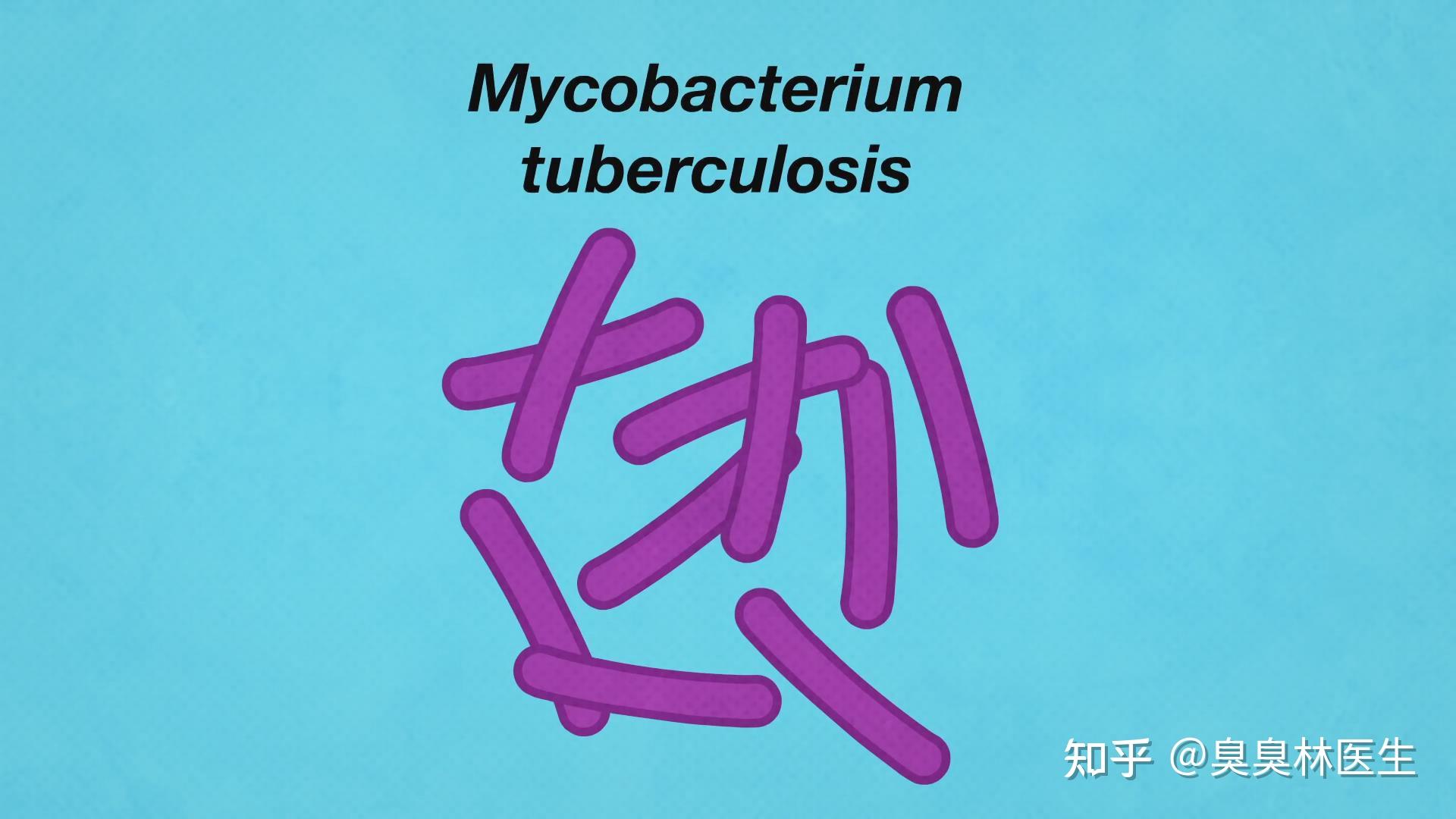 肺病结核严重是肺结核吗_肺结核是严重的病吗_肺病结核严重是肺癌吗