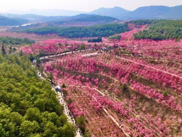 ecognition 云南大学-云南大学：美景如画，学术氛围浓厚，师生情更动人