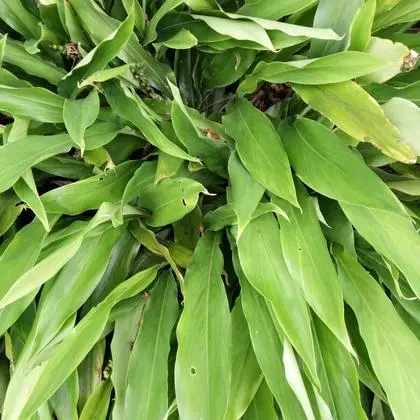 d盘不见了怎么办-电脑 D 盘突然消失怎么办？别急，试试这些方法
