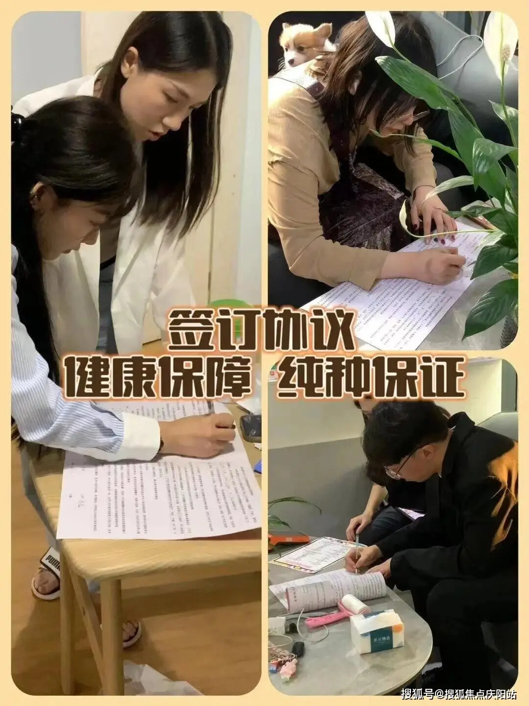 武汉汉宠动物保健品有限公司_汉思宠物店管理系统_汉思宠物软件