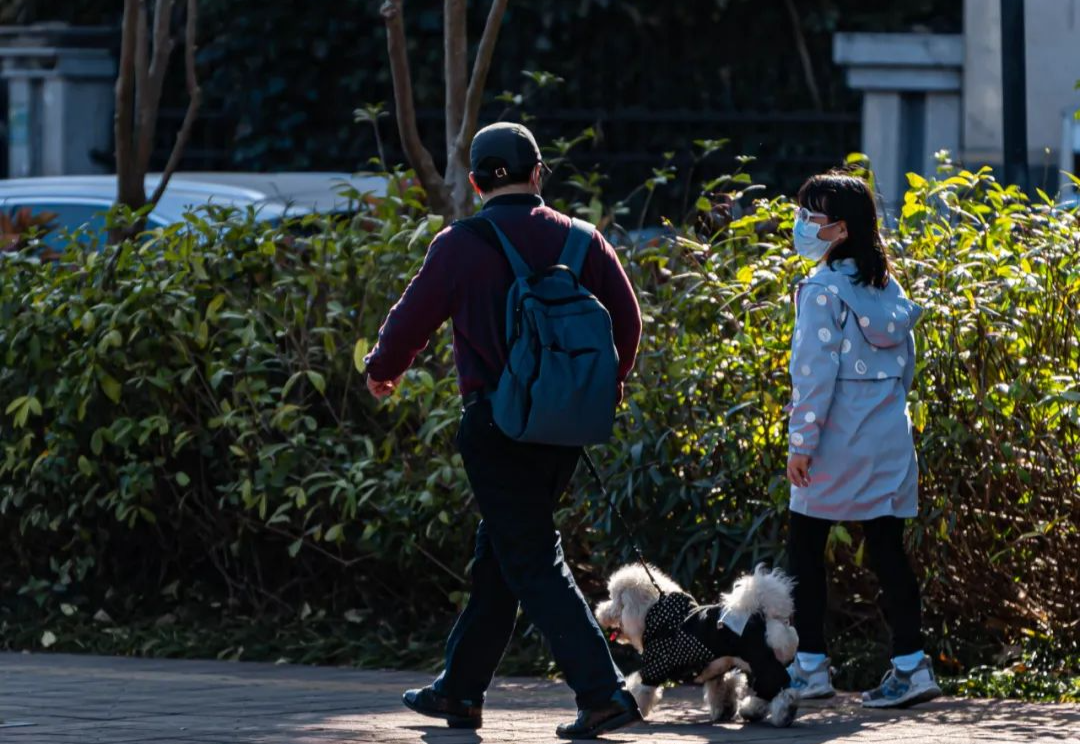 邦富互联网舆情监测系统_邦富互联网舆情监测系统_邦富互联网舆情监测系统