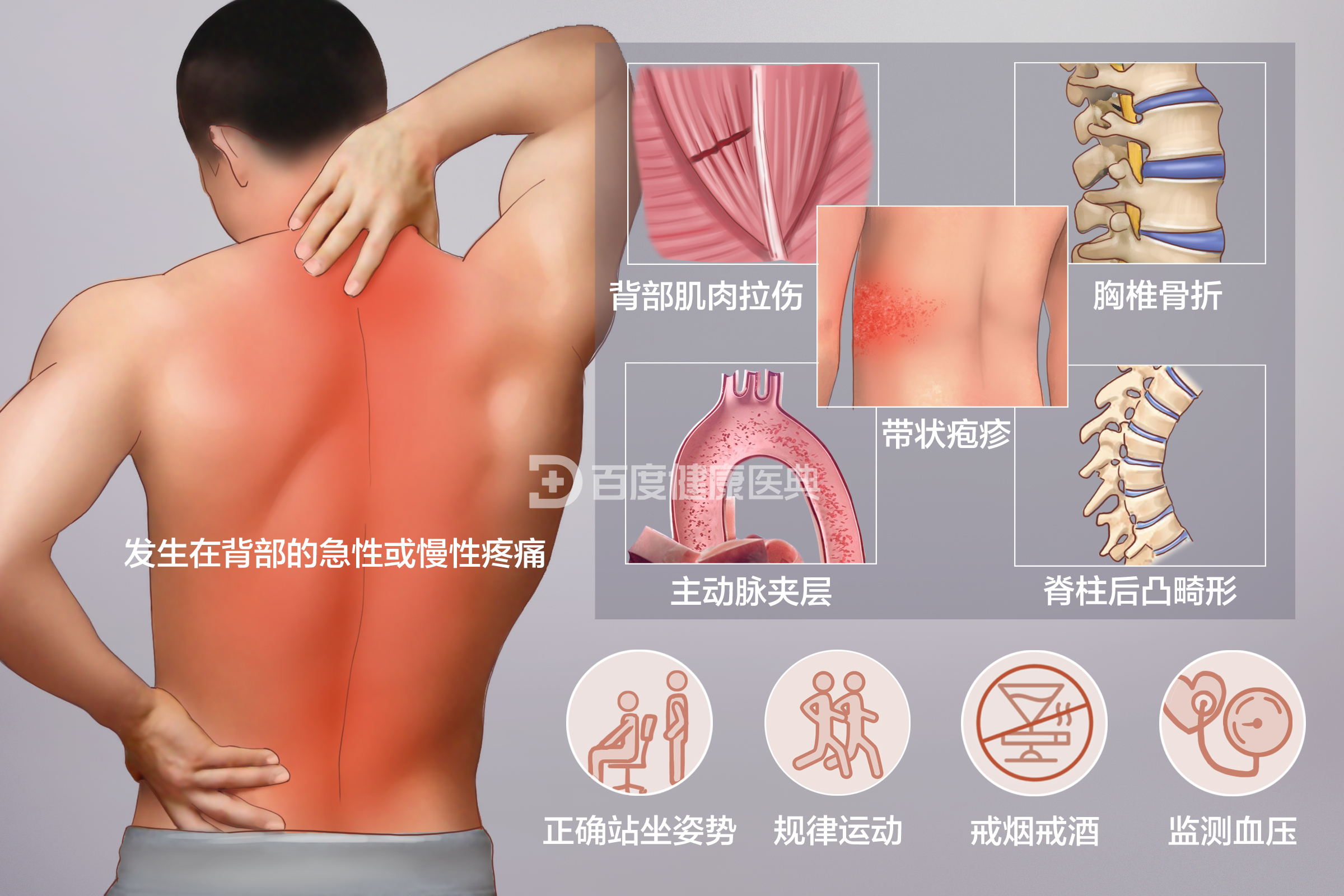 为什么呼吸后背疼痛_后背疼痛呼吸胸闷气短挂什么科_后背疼痛呼吸不畅胸闷什么原因
