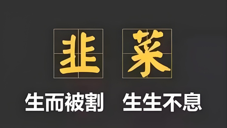 ie11不能打开qq空间-IE11 打不开 QQ 空间，用户气得想砸电脑，原因究竟为何？