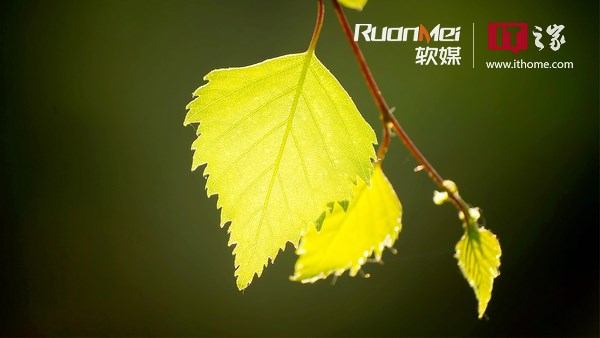 xp与win7双系统安装-XP 和 Win7 双系统安装：一场充满挑战和乐趣的冒险
