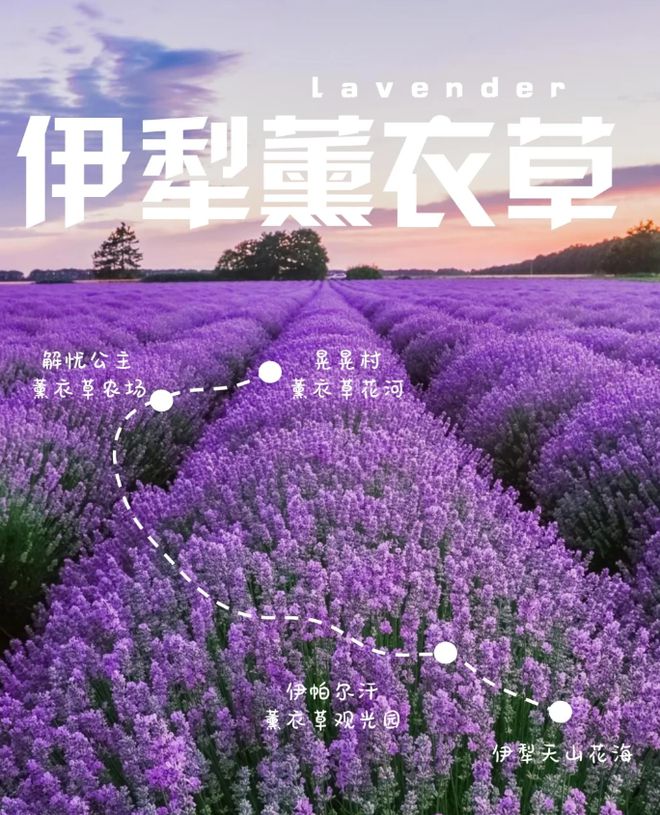 af是什么航空公司-AF：法国航空公司，带你领略全球浪漫风情与高科技之旅