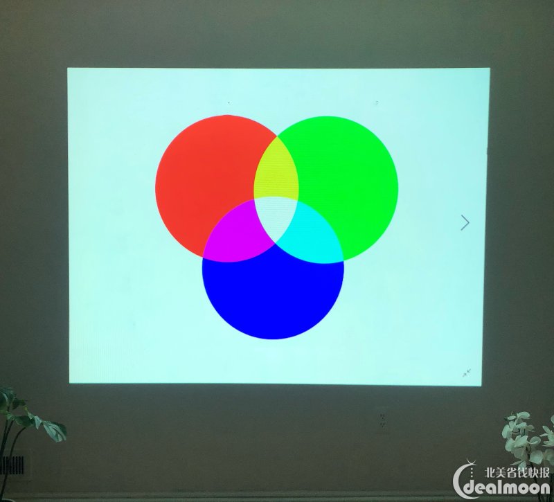 提取图片颜色app-ColorCraze：手机里的小小艺术馆，让你轻松捕捉美丽色彩