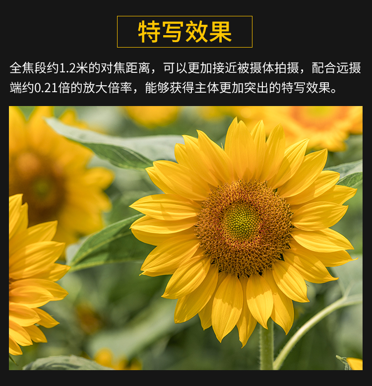 shopex485网店商品如何设置最小起订量_网店怎么起量_小店商品怎么设置佣金