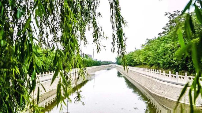 朝阳医院电话号码——黑暗中的希望之光，关键时刻的救命稻草