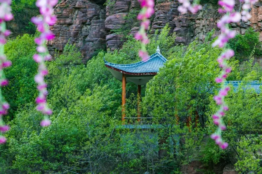 朝阳分院京西医院电话是多少_朝阳医院京西分院电话_朝阳医院京西医院电话总机