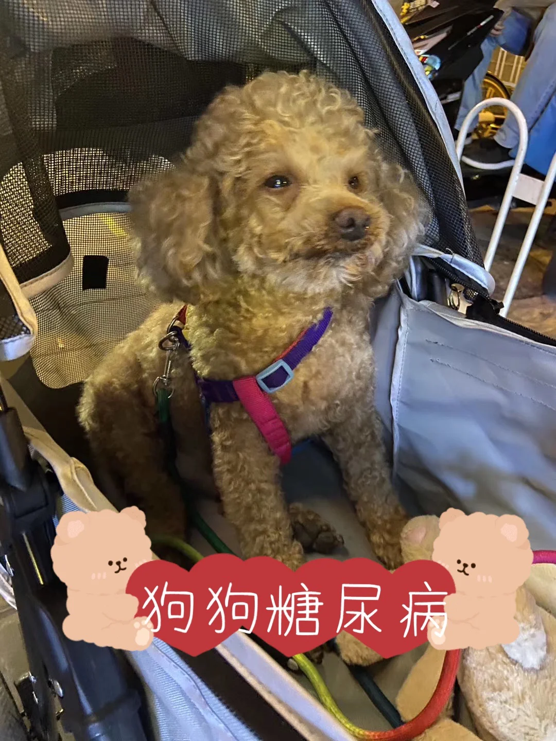 激活码是什么_激活码商城_ontrack easyrecovery11 激活码