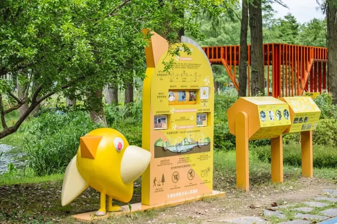 金山天天团购：购物平台中的宝藏地，每天都有新惊喜
