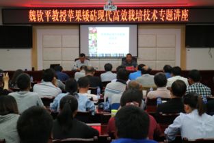 昭通市农村信息化平台,助力乡村振兴的智慧引擎