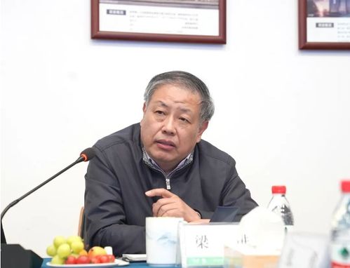 五洲在线系统的问题梁凯,梁凯的挑战与应对策略
