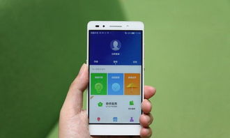 手机进不了系统怎么办,手机进不了系统怎么办？全面解析解决方法