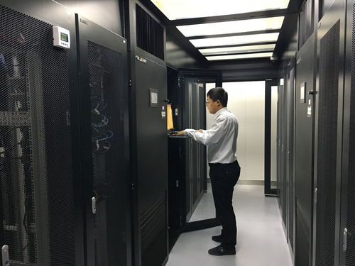 ecds系统,深入解析电子商业汇票系统（ECDS）的功能与优势