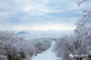 12系统超雪,系统超雪