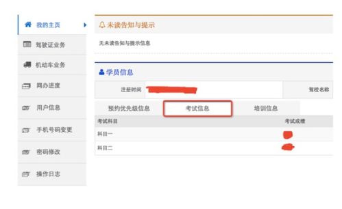c1驾考成绩查询系统