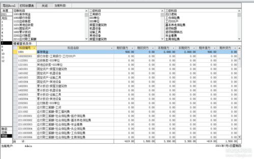 access财务系统,高效、便捷的财务管理利器
