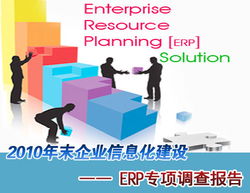 erp系统 调研