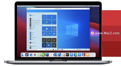 apple mac 双系统,轻松实现 macOS 与 Windows 共存