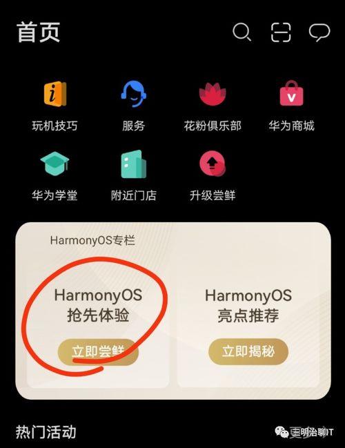 华为升级鸿蒙和安卓系统,体验升级与生态构建之路