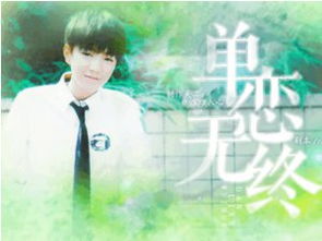 王俊凯动态壁纸主题 