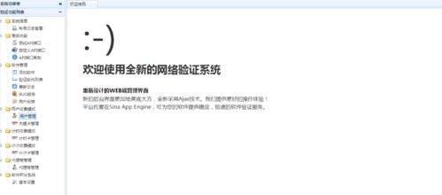 安卓网络验证授权系统,构建安全高效的用户认证解决方案