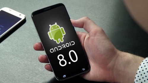 适配手机8.0安卓系统,专为Android 8.0系统打造的极致手机体验