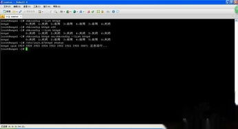 linux启动安卓系统服务,Linux平台下启动安卓系统服务的实现概述
